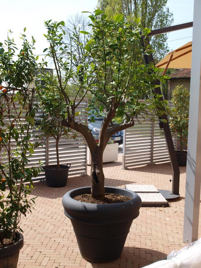 הוסטל Rivarolo del Re ed Uniti La Cascina Del Sole מראה חיצוני תמונה